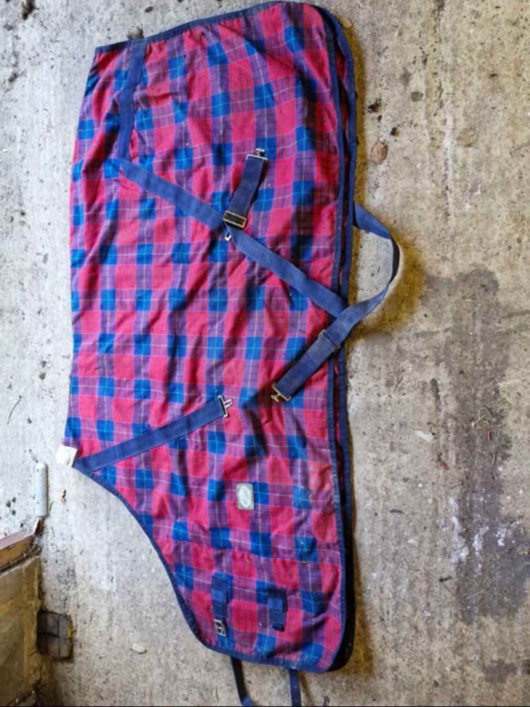 Rug 5'6 - Tartan 