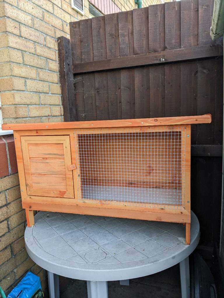 Guinea pig hutch