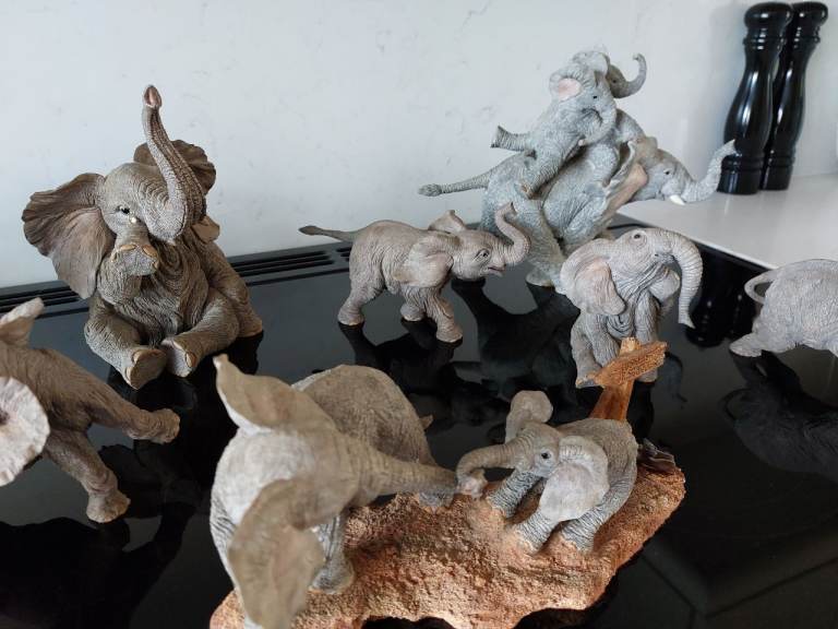 Tuskers Elephants x10 MINT CONDITION