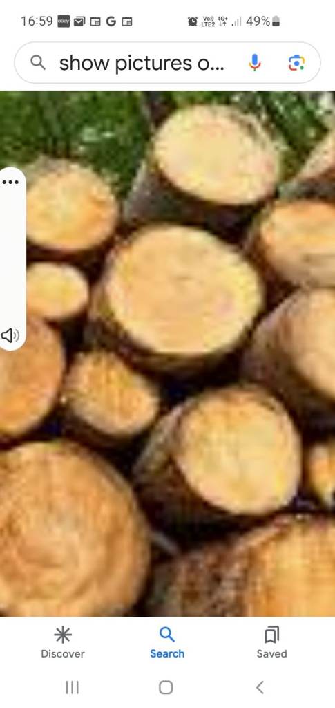 Free firewood logs various sizes free