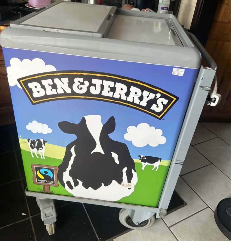 Ben and Jerry's portable freezer 
