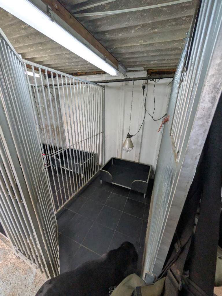 Kennel Set up