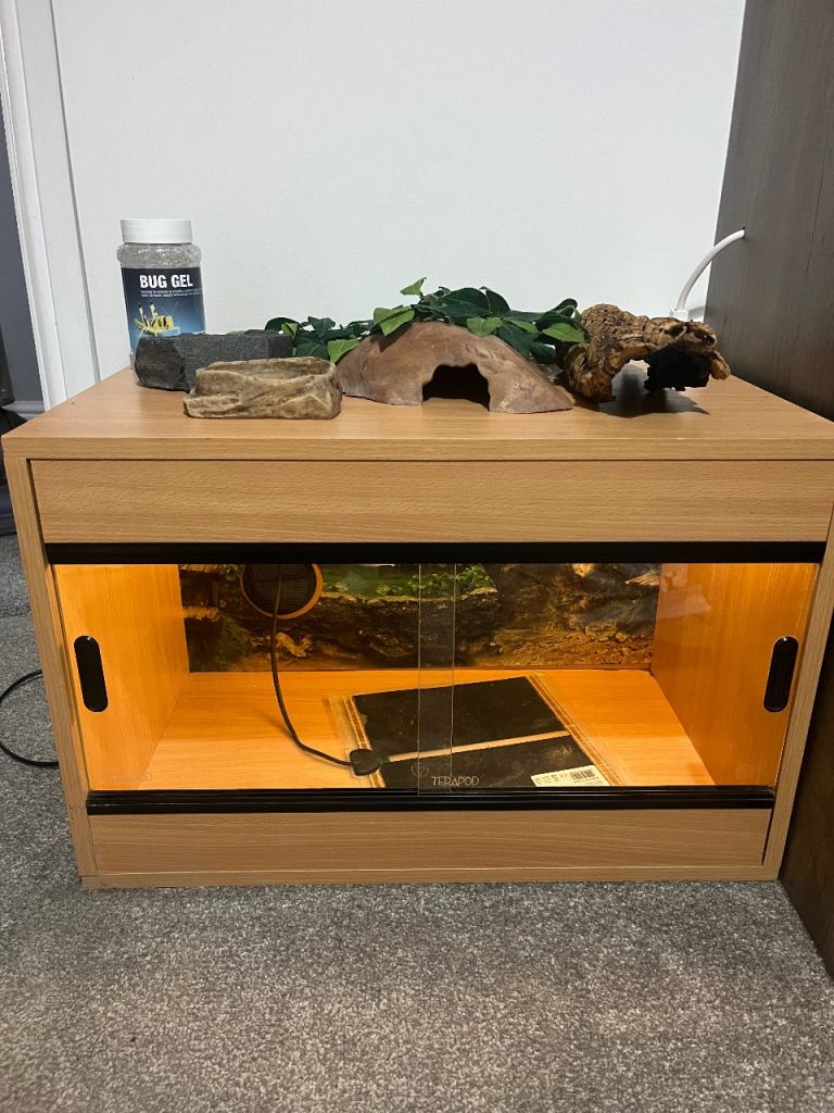 Reptile enclosure 