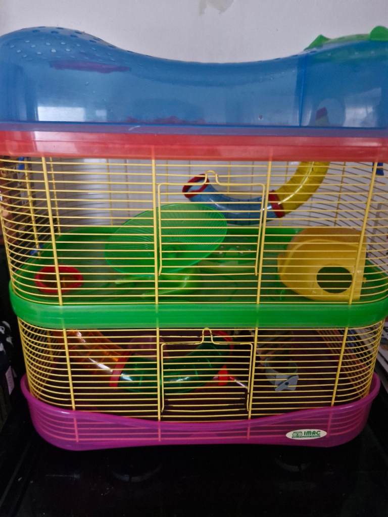 Hamster cage 