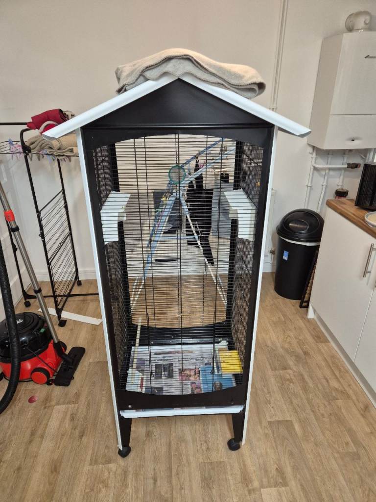 Large bird cage 