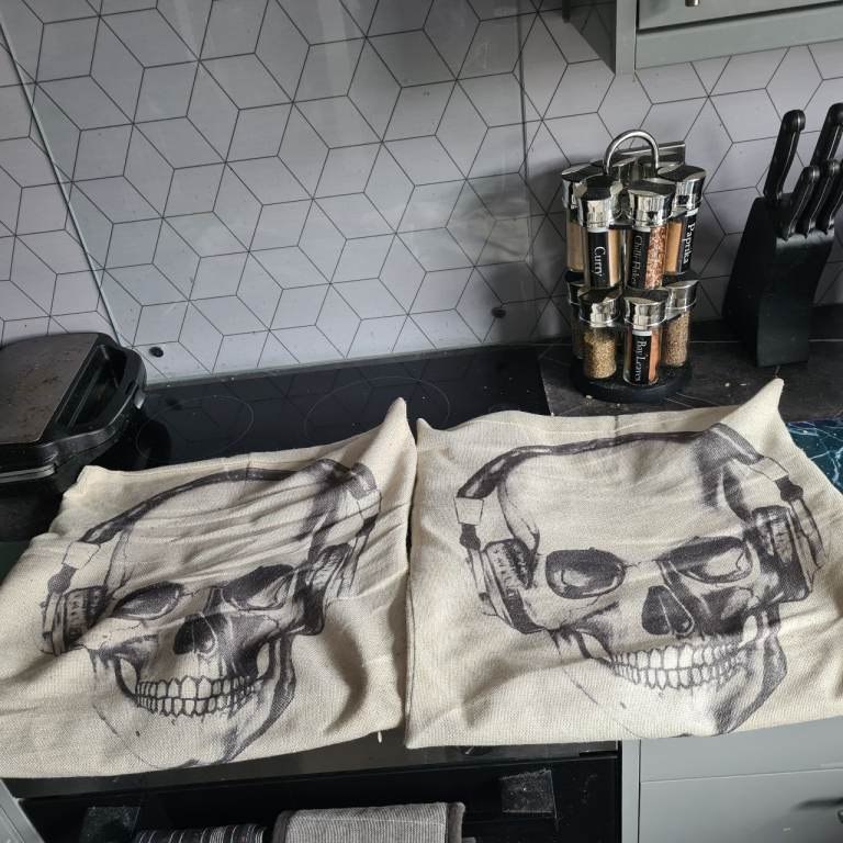 Pair of Skull Design Cushion Covers – Good Condition