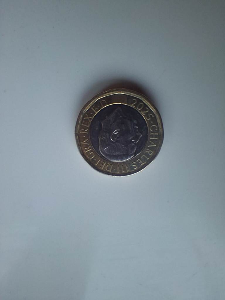 King Charles III 2025 £1 Coin – Rare Bees Design