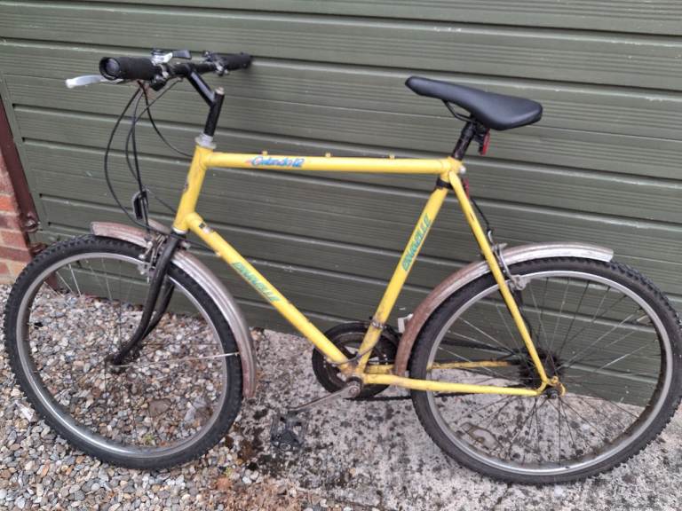 Tandem and bike