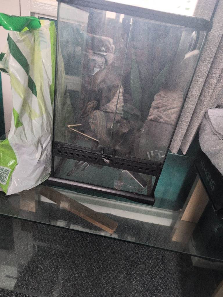 terrarium