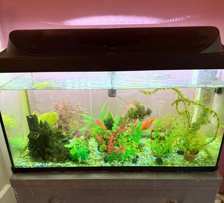 Fish Tank 120L
