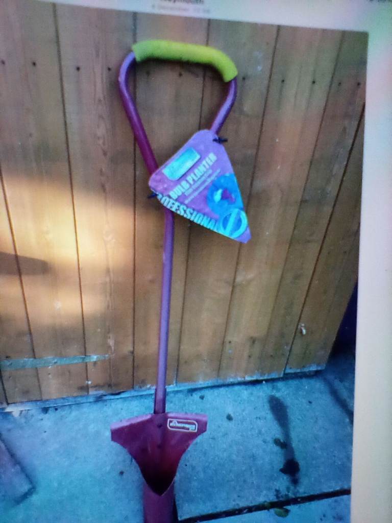 Kingfisher bulb planter