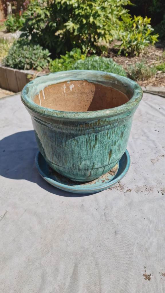 Two Plant pots