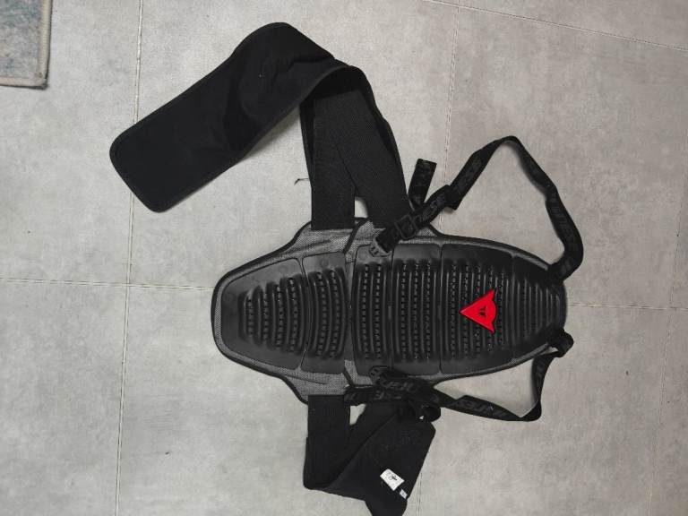 Motorcycle Back Protector and pillion passenger grab handles