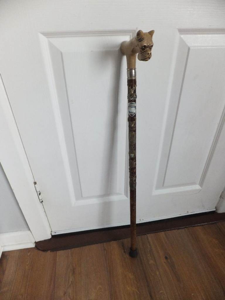 vintage old Walking Stick Boxer Dogs Bakelite Head has & includes 13 Badges on it see 8 images signs
