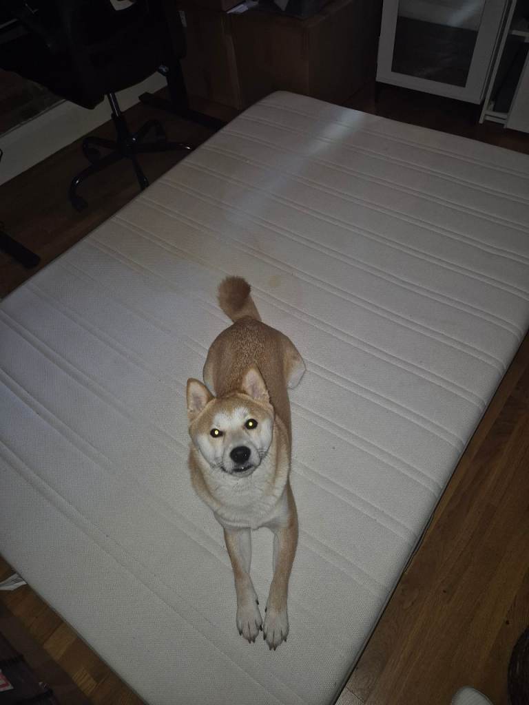 Free Ikea Mattress W12 London