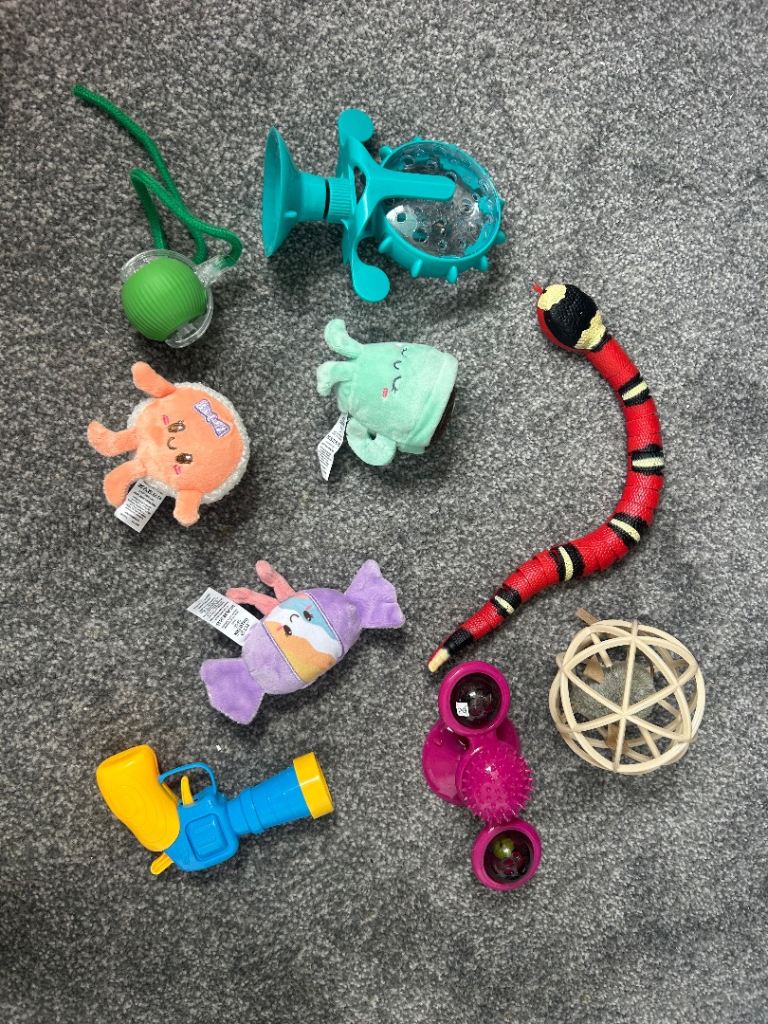 Cat toys