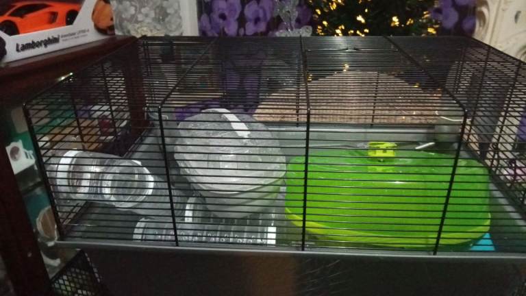 Medium size hamster cage full set up