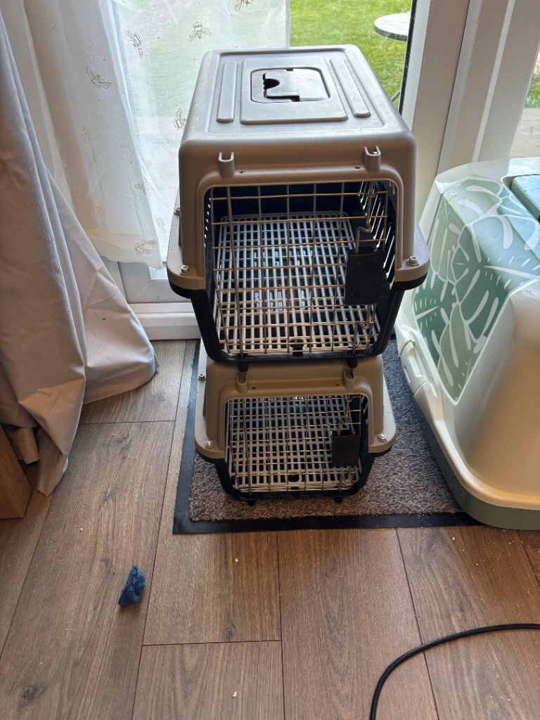 Cat litter box £20 cat carrier £5 each or £10 for 2