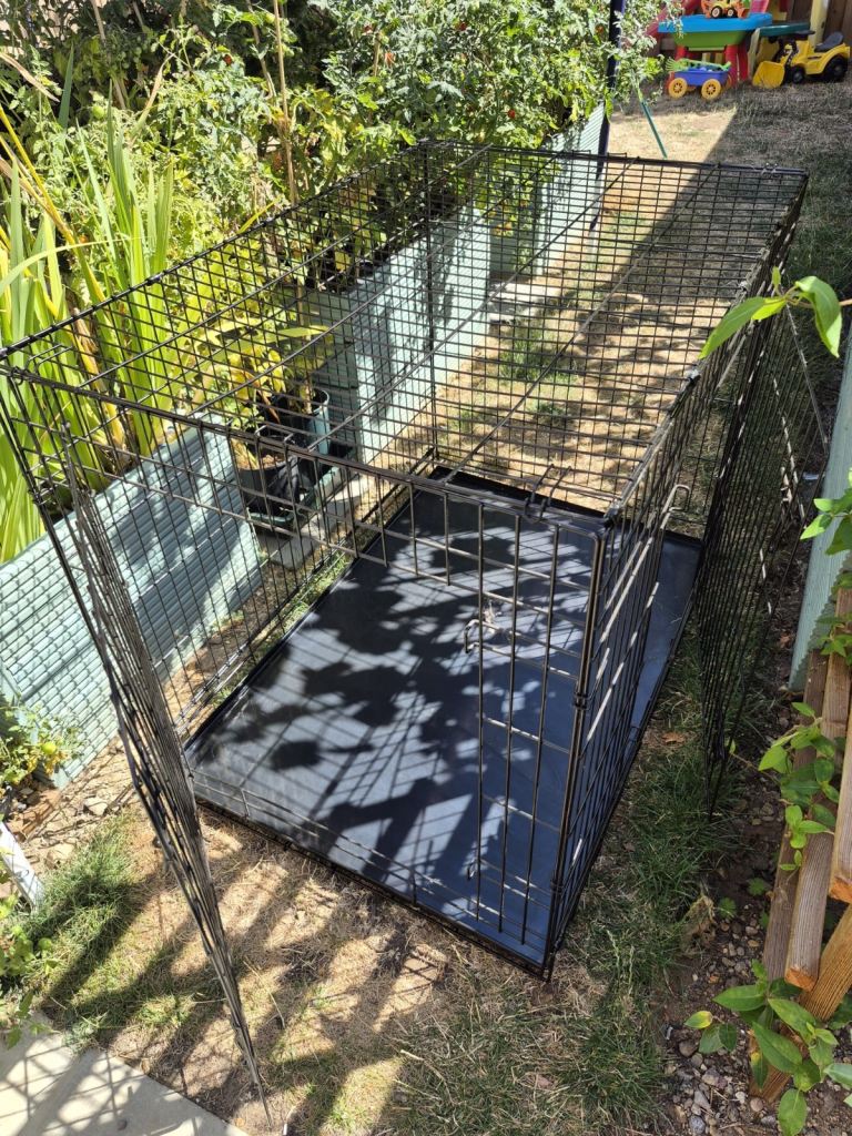 High Quality Dog Cage