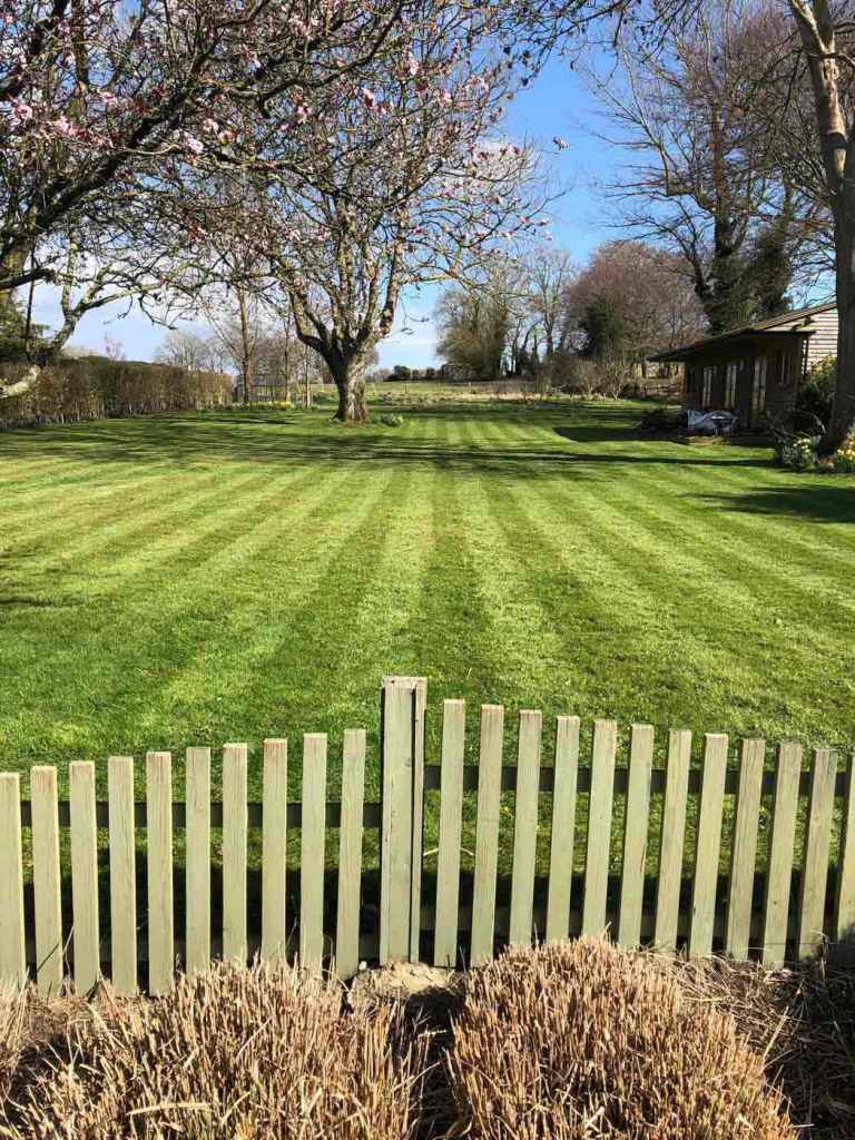 Grass cutting,hedge cutting, weedkilling