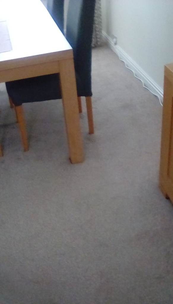 FREE lounge/dining room carpet