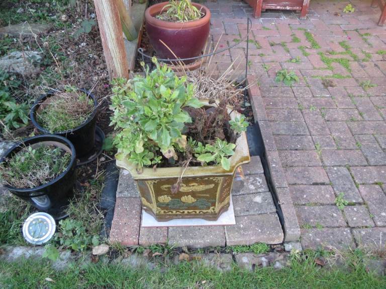 Garden and Patio Ornamental Stoneware Pots  