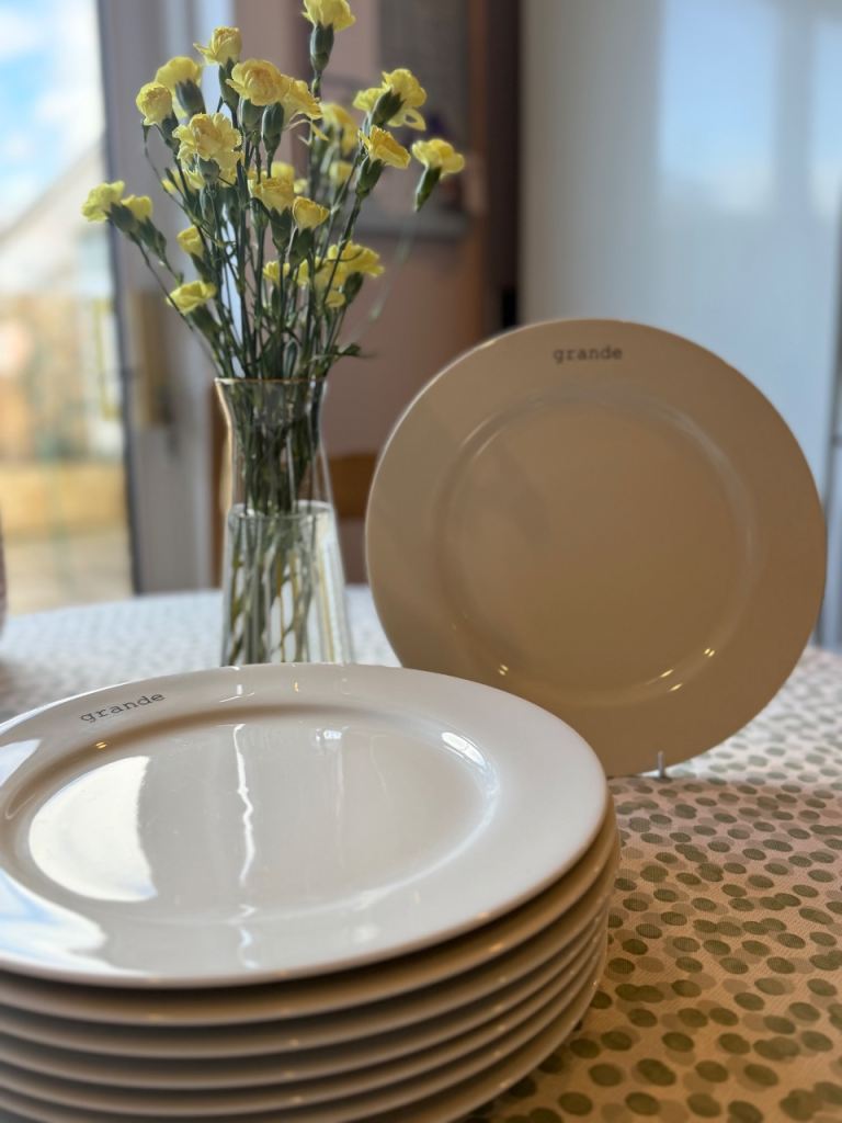 Plates 8 porcelaine white charger plates by De Limoges France