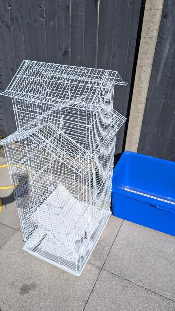 Bird budgie cage