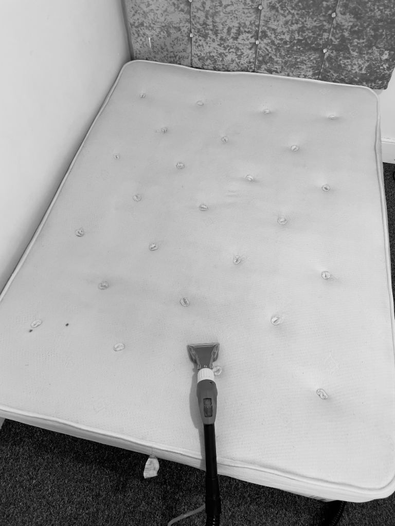 Carpet Cleaning machine (Rent)