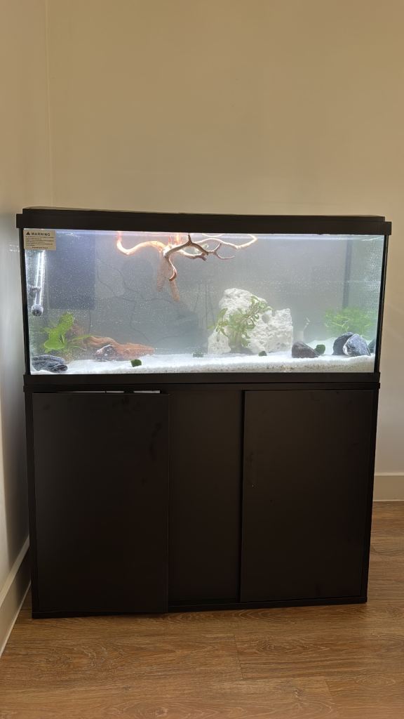 160L fish tank and stand + filter + heater + air pump 