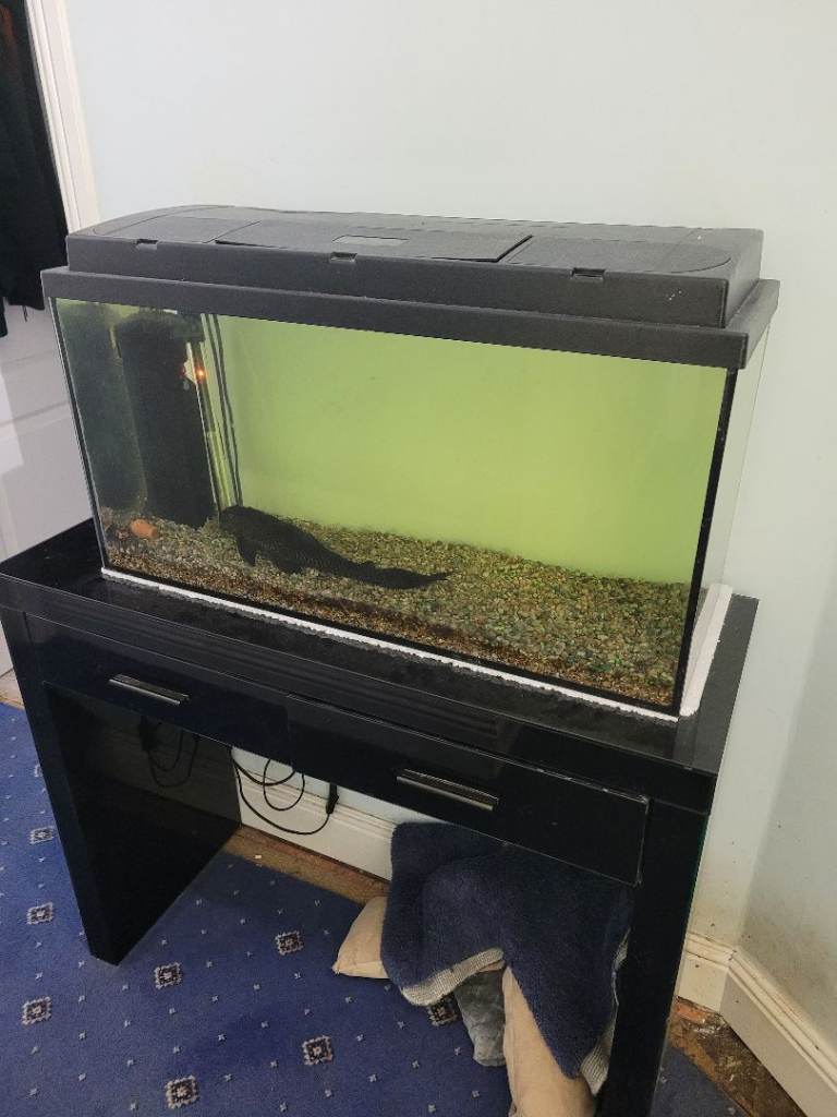 Fish tank 