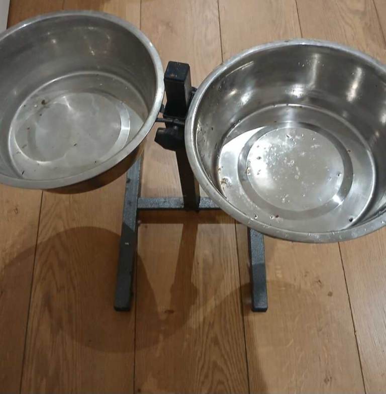 Double shower bowl for pat