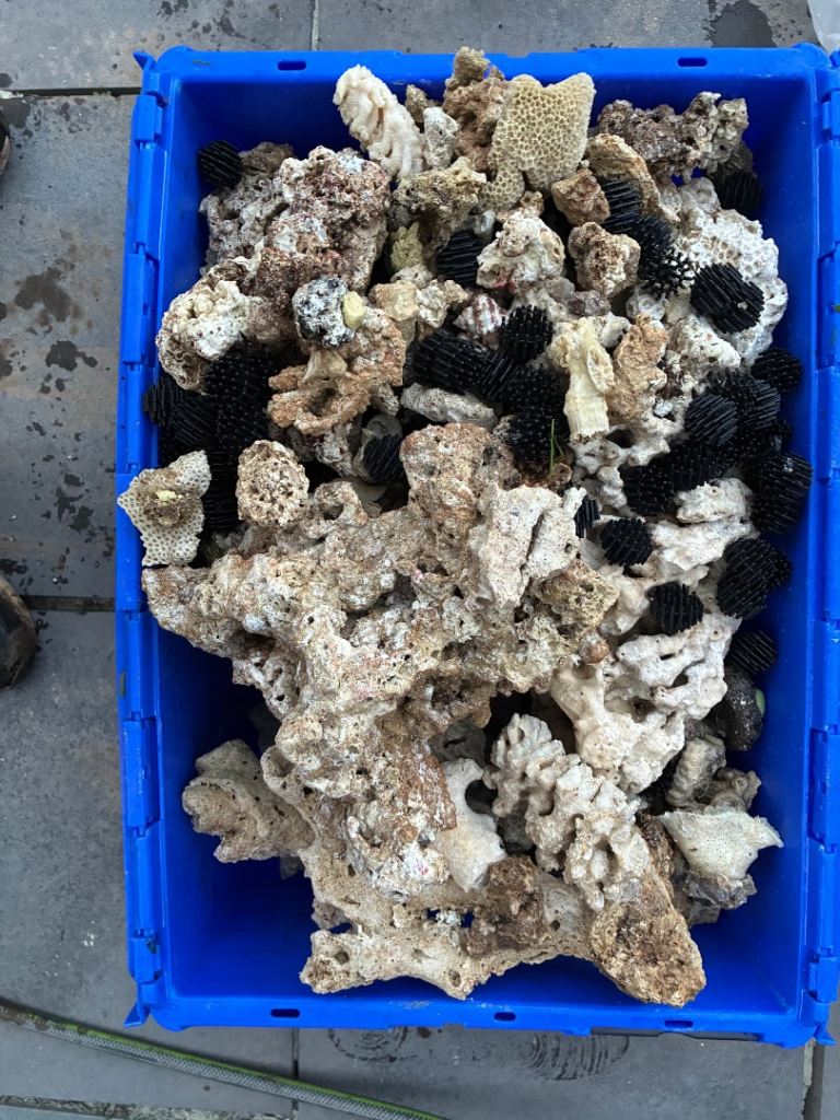 40kg Marine Aquarium Dry Live/Coral Rock