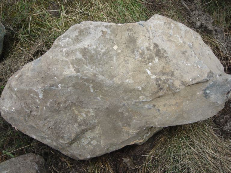 Medium sized pond/ornamental garden boulder