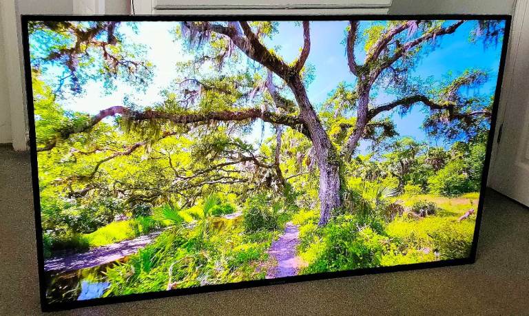 65" TECHWOOD WALL MOUNT SMART 4K UHD HDR SLIM LED WIFI APPS TV RC NEW WALL BRACKETS -FREE DELIVERY