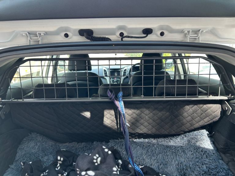 Travail Hyundai I30 dog guard 