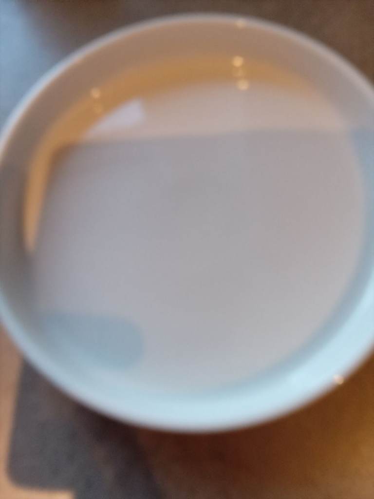 White flan dish