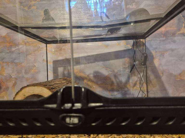 Reptile Vivarium with a UV Light  and Accessories – Good Condition