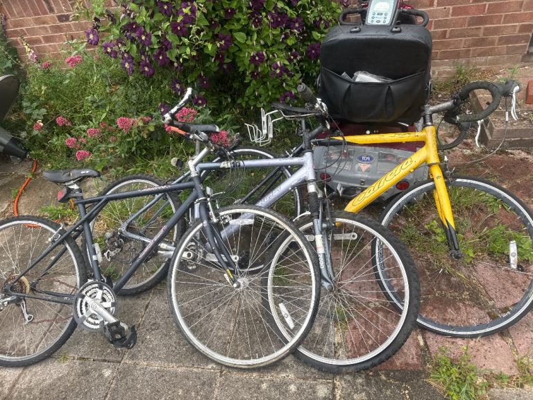 3 bikes 