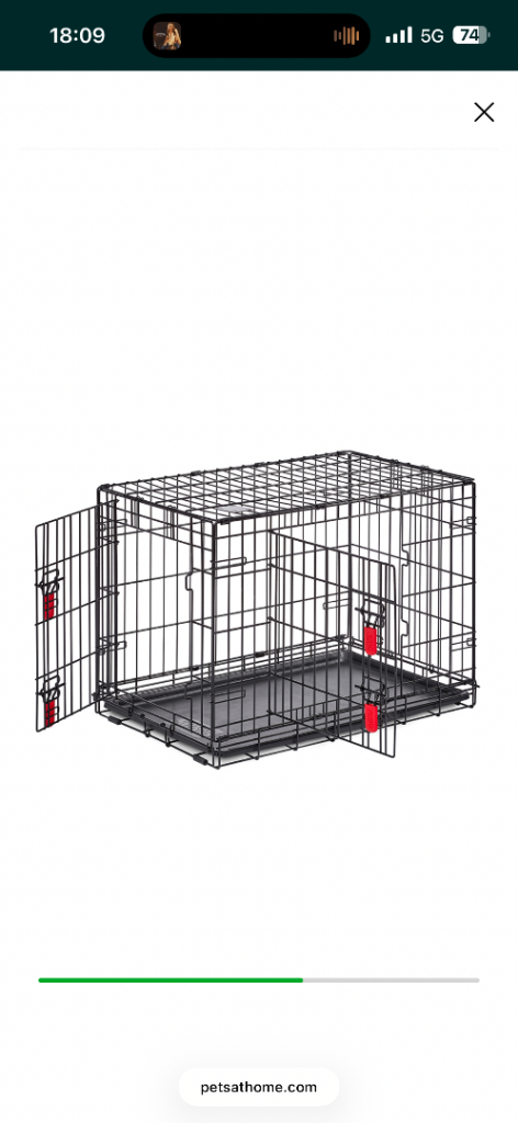 Kong medium sized crate