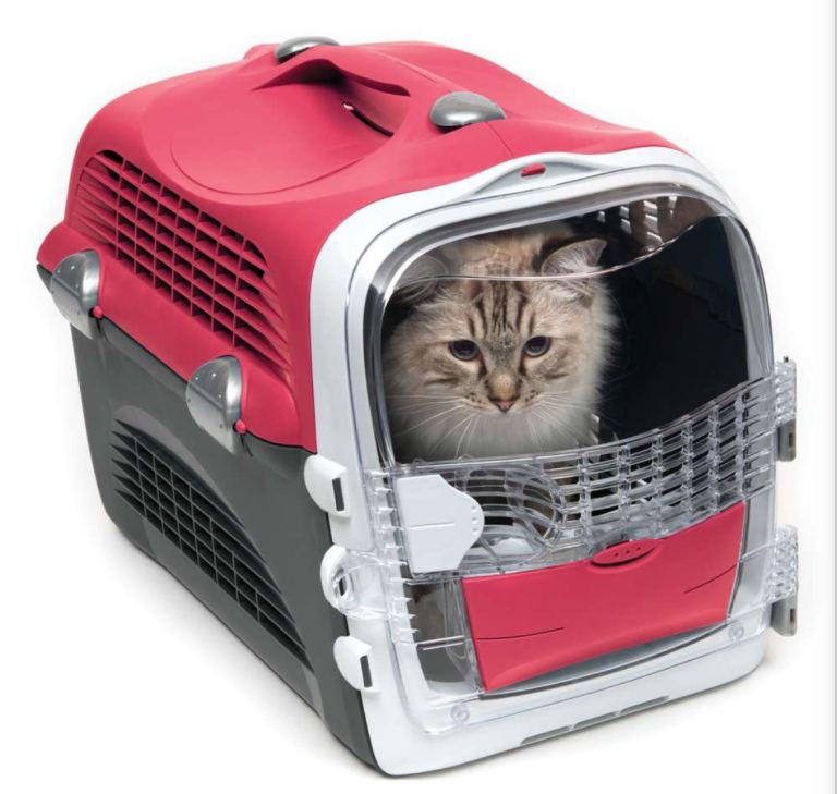 Large cat carrier