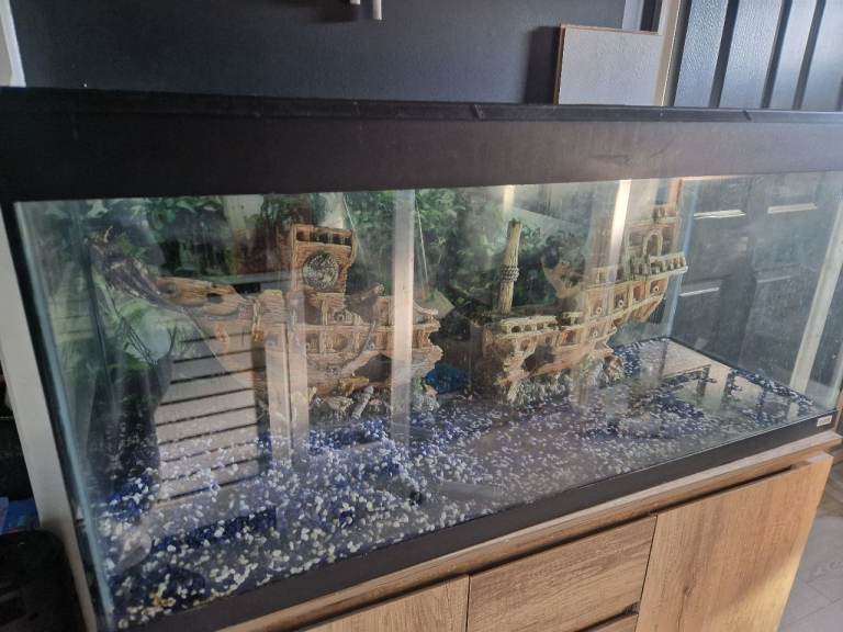 Fish tank