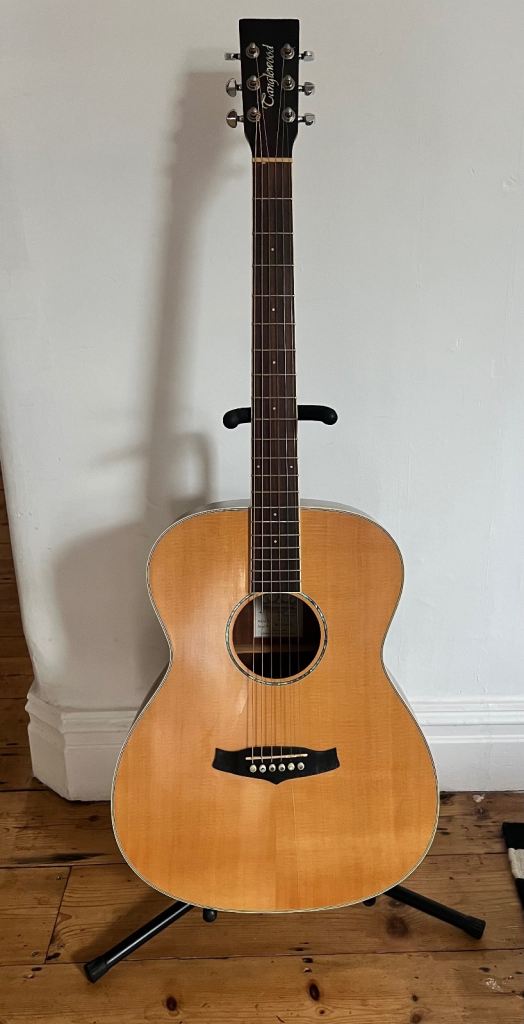 Tanglewood Premier Exotic SE Series (Model TPE F ZS) acoustic folk guitar.