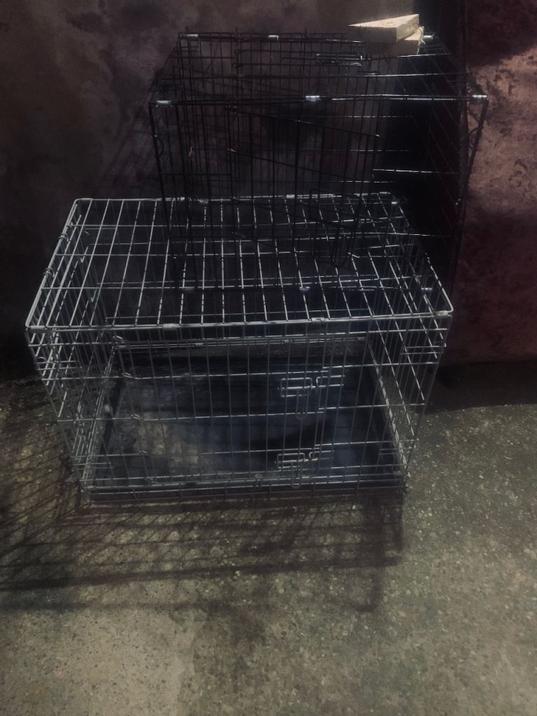 rabbit cage