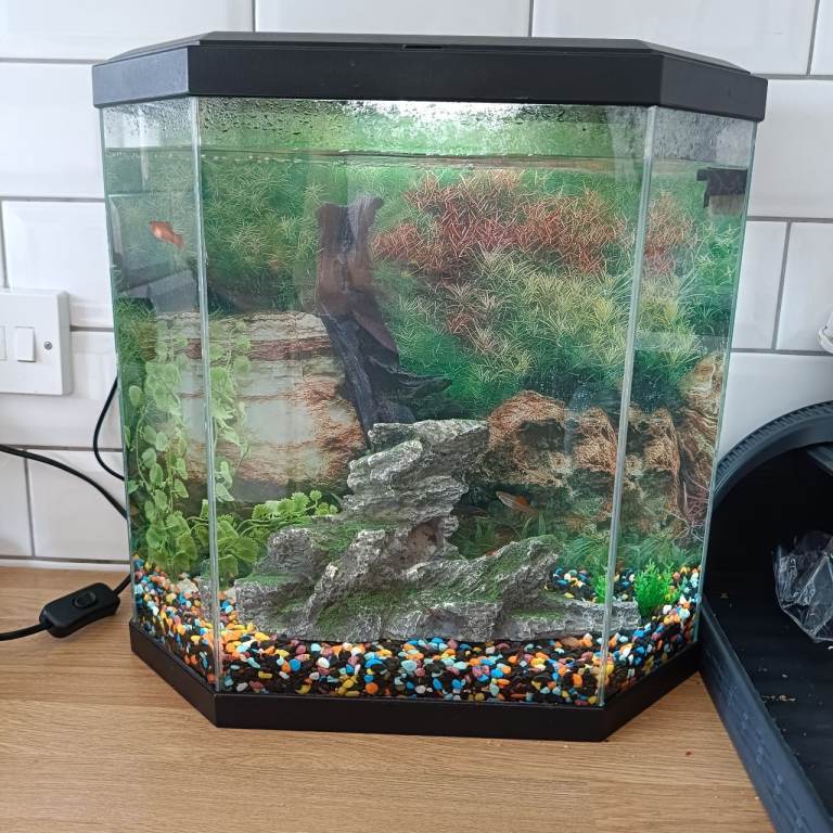 Fish tank with accessories 