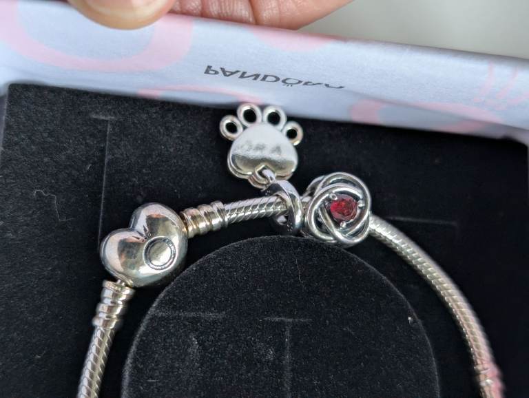 Brand New Pandora Bracelet & 2 Charms 
