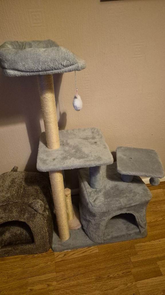 Cat bed/tree £20ono