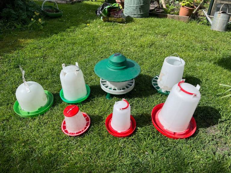 selection of poultry feeders 