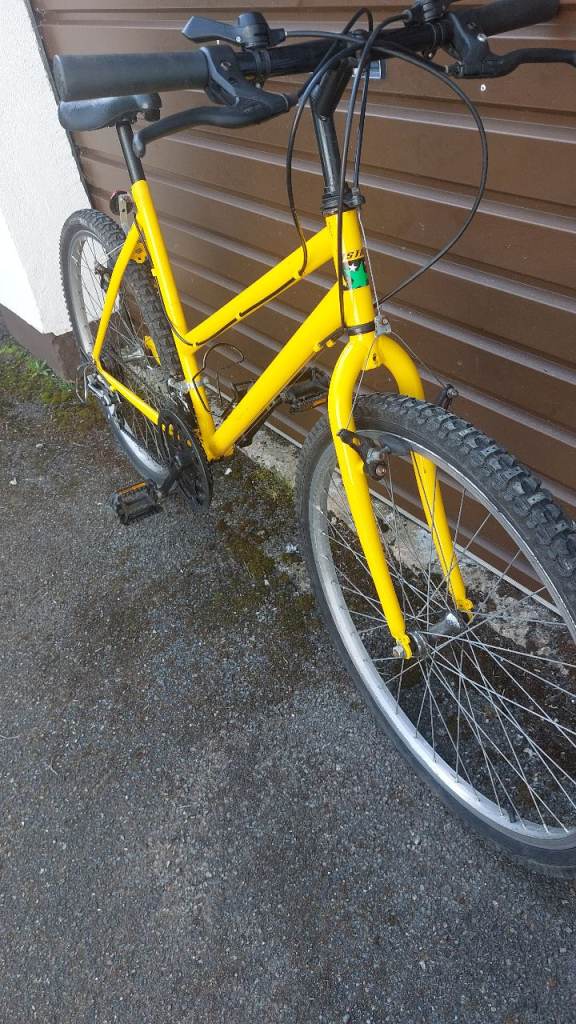 Womens bike 26 in wheel