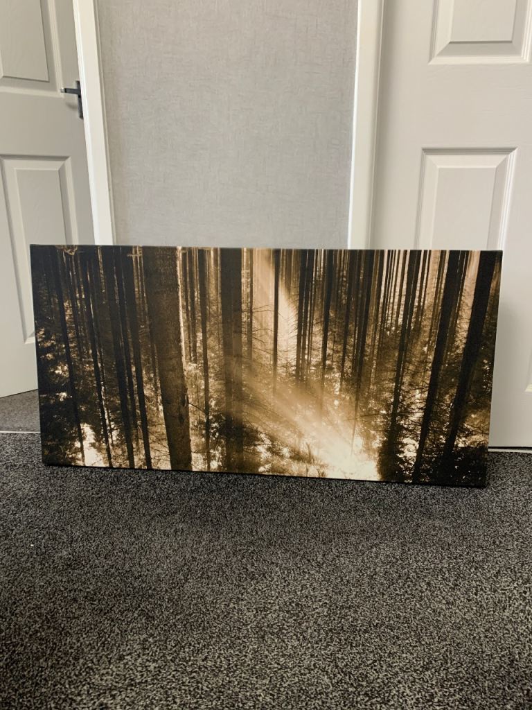 Woodland trees canvas prints